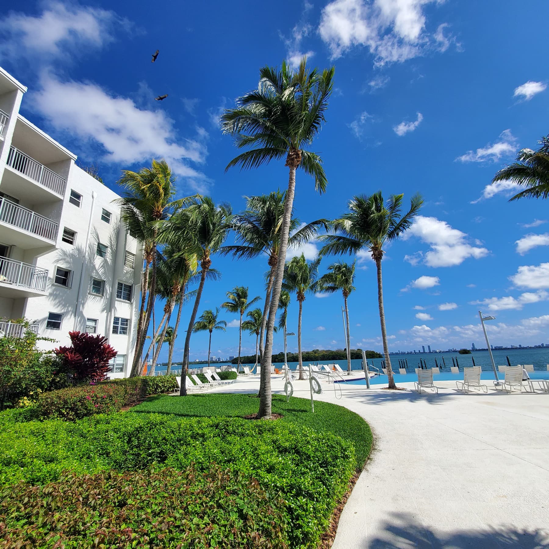 Nirvana building exterior with palms and walkway to the bay