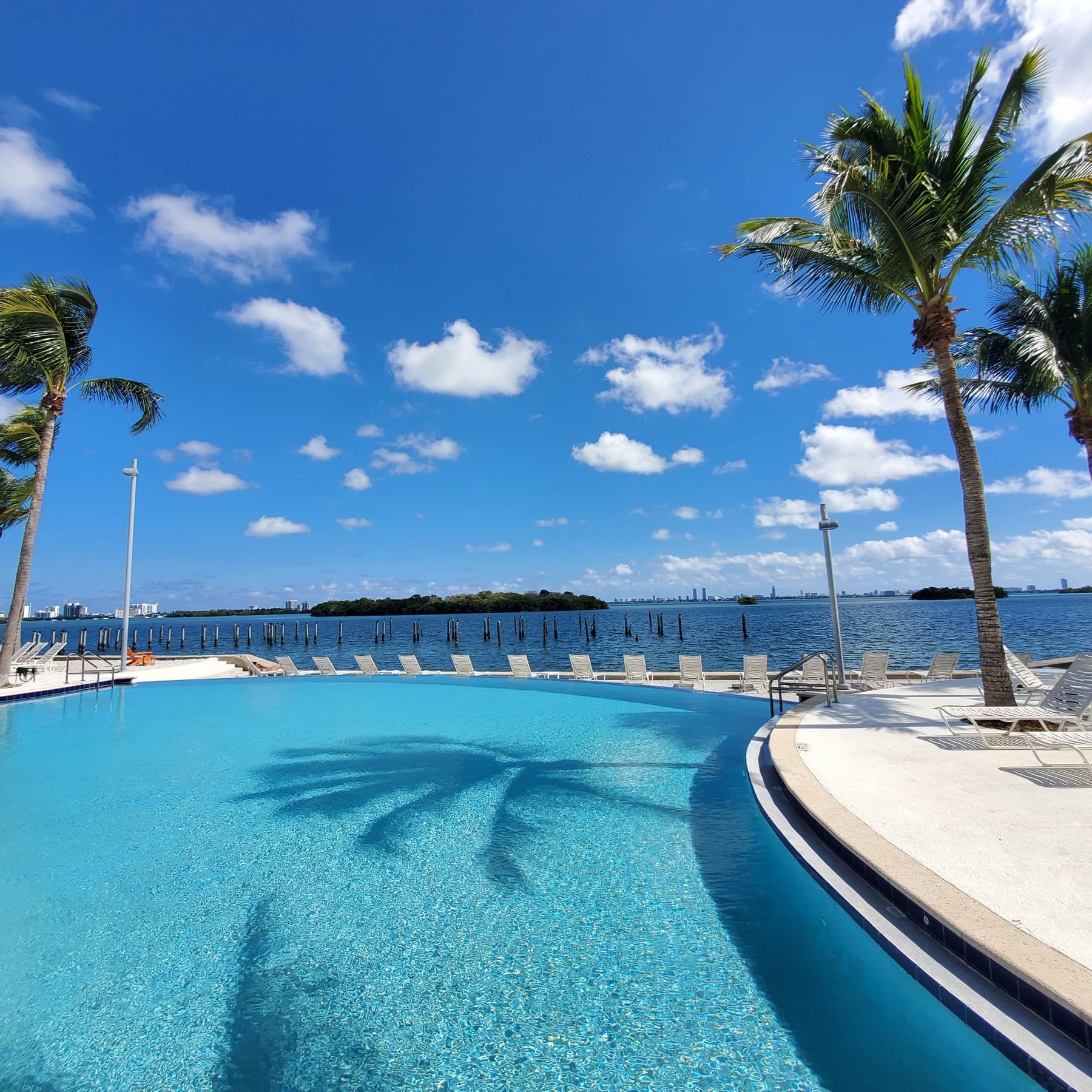 Bayfront pool deck framed by palms at Nirvana Condominiums