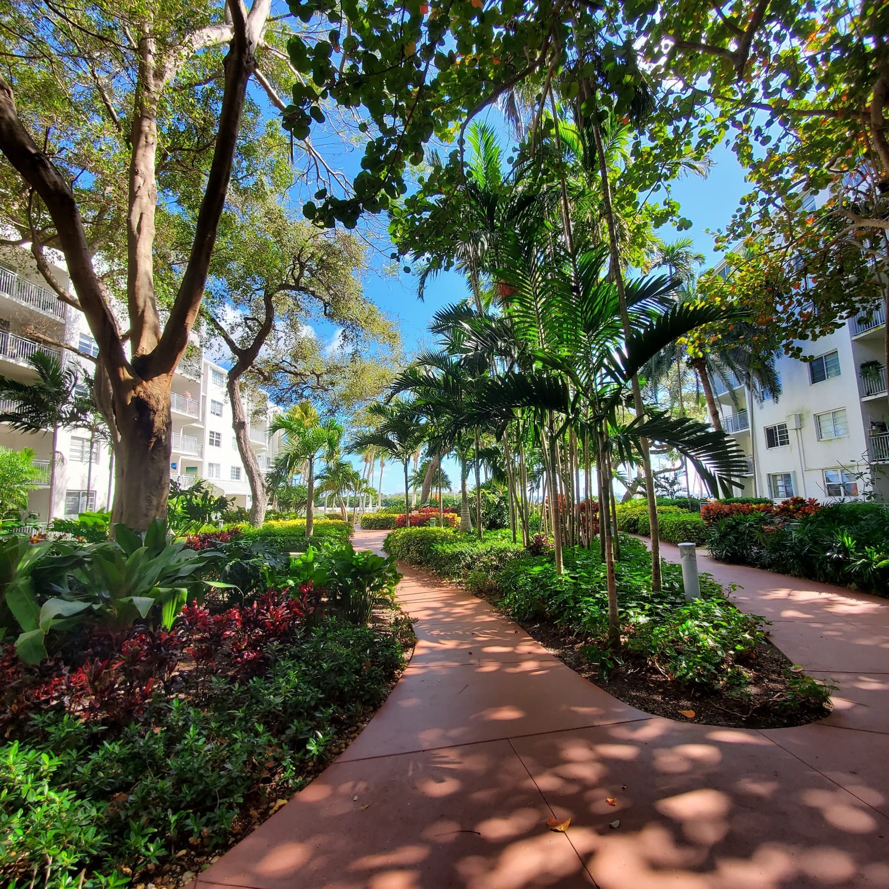 Nirvana Condominiums waterfront residences in Miami's MiMo district